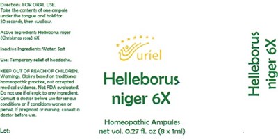 Helleborus Niger 6x Ampules (Helleborus Niger 6x Ampules)